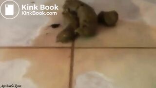 Annika Rose dildo and poop