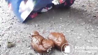 nice turd