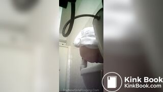 Voyeur toilet poop 2