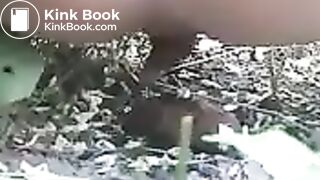 A huge poop in the bushes