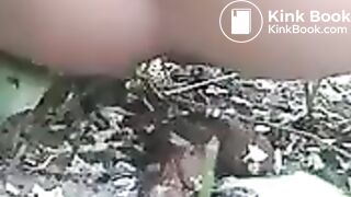 A huge poop in the bushes