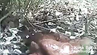A huge poop in the bushes