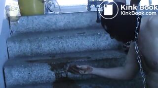 German Scat Femdom fucks Toiletslave