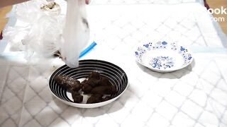 4 Saved Big Shits  Filled and Fucked Pussy