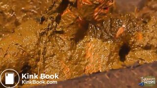 Betty covers herself completely in cowshit