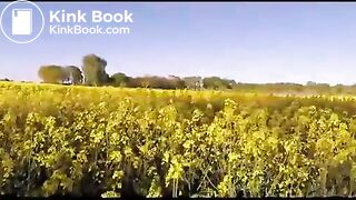 Huge poop in a field