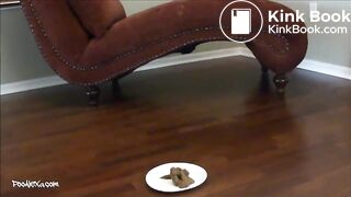 PooAlexa — Fucking   Shitting Eat Our Shit Loser