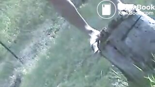 Beautiful blonde poops on a tree stump