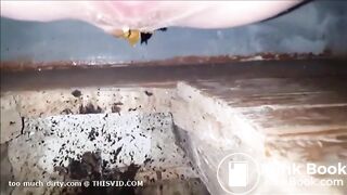 girl shitting in a dirty toilet