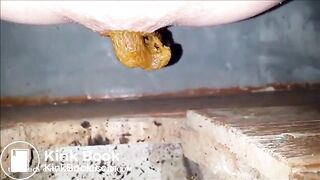 girl shitting in a dirty toilet