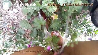 Compilation of outdoor poops