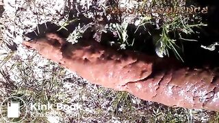 Compilation of outdoor poops