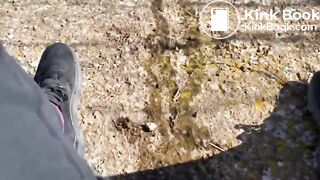 VeganLinda - Best of CRAZY Poo & Pee Canaryislands