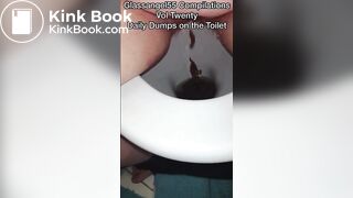 Daily Dumps on the Toilet Glassangel55 Compilations Vol Twenty