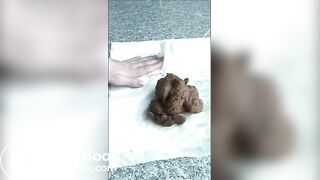 Big pile on a sunny hotel balcony