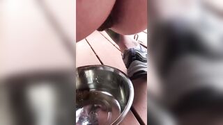 Good Doggy! PUBLIC TOILET & RESTROOMS! Travelers Scat & Shit Compilation