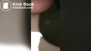 Good Doggy! PUBLIC TOILET & RESTROOMS! Travelers Scat & Shit Compilation