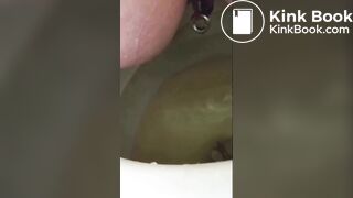 Good Doggy! PUBLIC TOILET & RESTROOMS! Travelers Scat & Shit Compilation