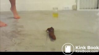 Anabel drops a monster log