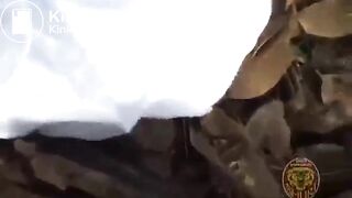 Asian girls forced enema compilation