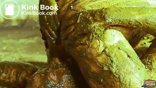 Betty and Frankys Cowshit Adventure Teaser 2