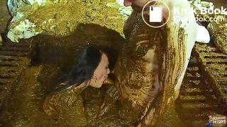 Betty and Frankys Cowshit Adventure Teaser 2