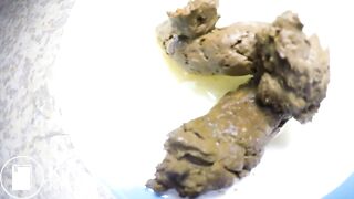 Dinner plate poop