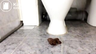 She shits next to the toilet
