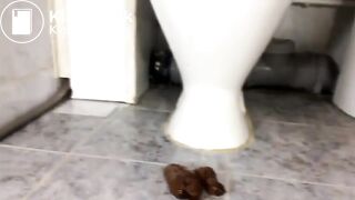 She shits next to the toilet
