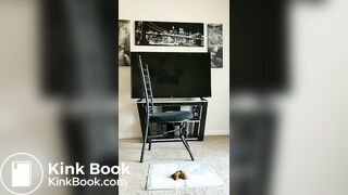 House Shitter