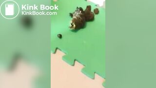 HOT SCAT WIFE FILMED BY HUBBY