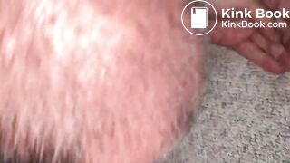 pig cleans the shit