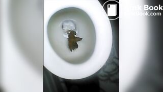 Two very nice poops
