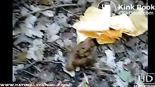 P 00042