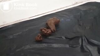 Ebony mistress poops