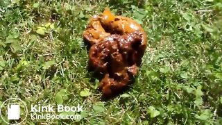 Big poop on the lawn