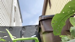 Brunette poops in her back yard