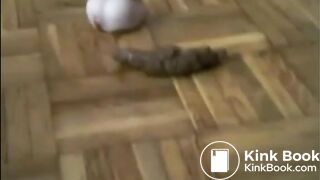 Babe riding dildo while shitting