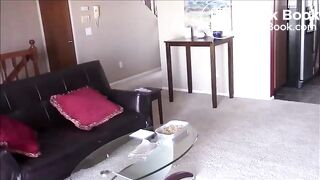 Oatmeal cookies with a special ingredient