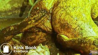 Cowshit adventure with Betty and Franky