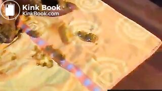 Scat and other twisted desires