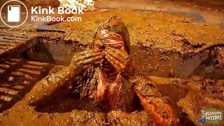 Betty has fun in the manure channel - bathing in cowshit