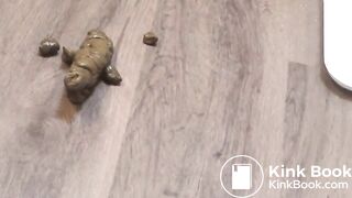 Maid cleans the bathroom then poops