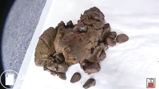 Minami Monster Turd 3