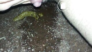 Big clit piss and shit by public pond at night - ThisVidcom