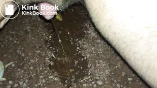 Big clit piss and shit by public pond at night - ThisVidcom