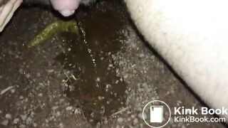 Big clit piss and shit by public pond at night - ThisVidcom