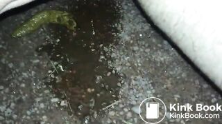 Big clit piss and shit by public pond at night - ThisVidcom