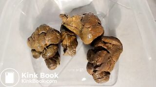 Hard thick poop in plastic box
