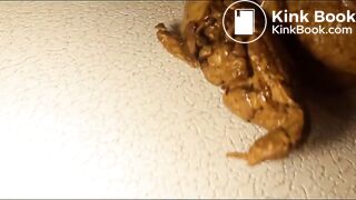 Huge pile of poop on a chair